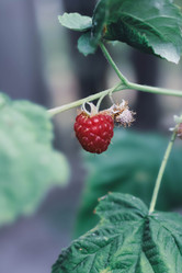 Similar image 22015312