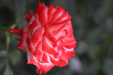 Similar image 22015313