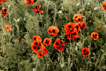 Similar image 22018730