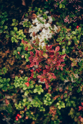 Similar image 22018732