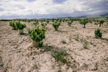 Similar image 22018733