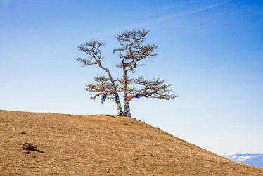 Similar image 22018734