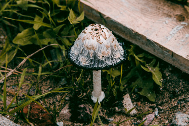 Similar image 22018735