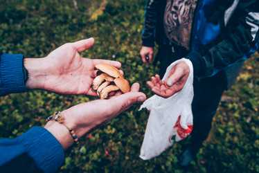 Similar image 22018737