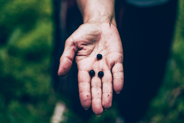 Similar image 22018739