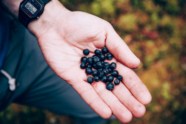 Similar image 22018741