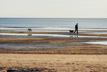 Similar image 22018744