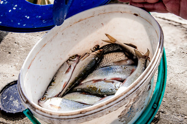 Similar image 22018746