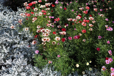 Similar image 22014586