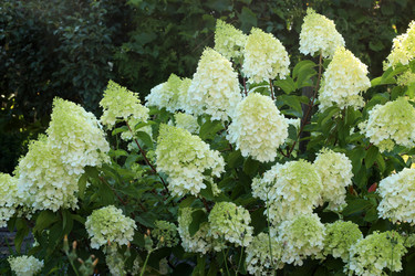 Similar image 22014588