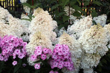 Similar image 22014589