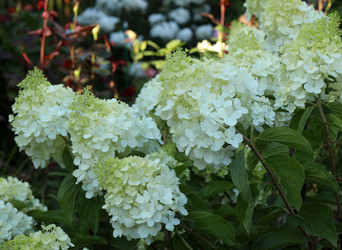 Similar image 22014590