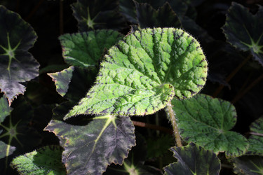 Similar image 22014591