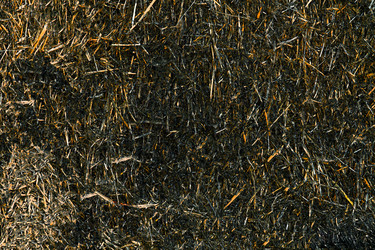 Similar image 22015217