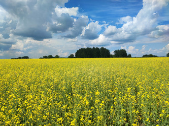 Similar image 22018325