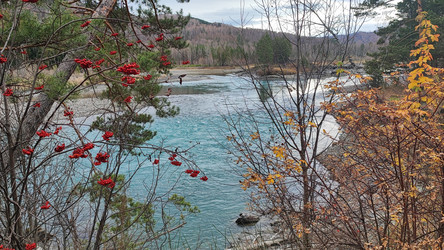 Similar image 22018327