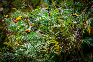 Similar image 22015382