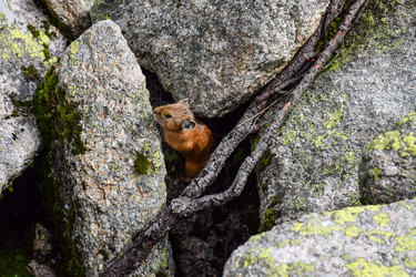 Similar image 22015387