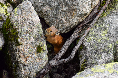 Similar image 22015388