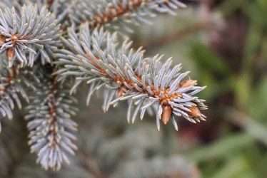 Similar image 22015910