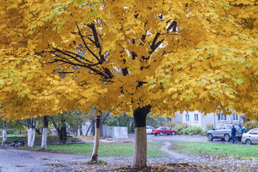 Similar image 22015911