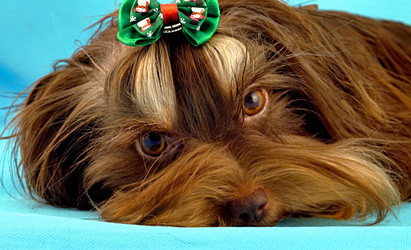 Similar image 22015912