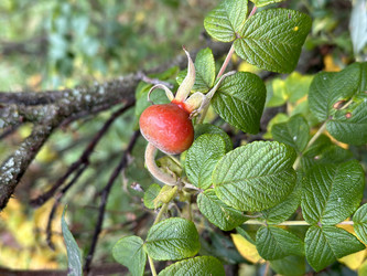 Similar image 22015914