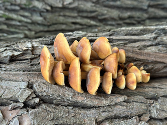 Similar image 22015915