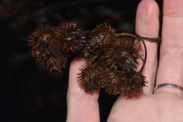 Similar image 22015917