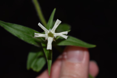 Similar image 22015918