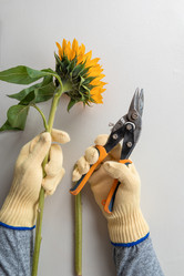 Similar image 22017392