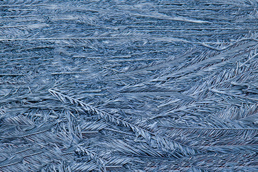 Similar image 22015393