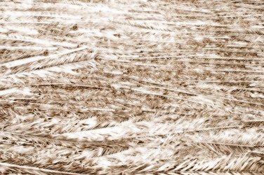 Similar image 22015394