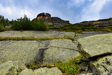 Similar image 22016151