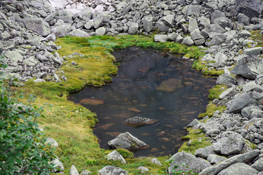 Similar image 22016154