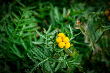 Similar image 22016156