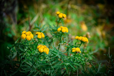 Similar image 22016157