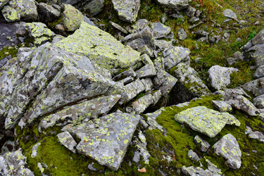 Similar image 22016163