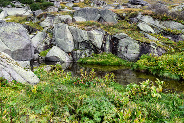 Similar image 22016267