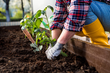 Similar image 22018754