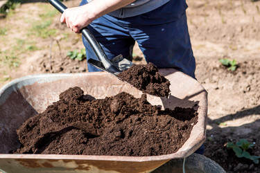 Similar image 22018767