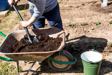 Similar image 22018769