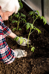 Similar image 22018774