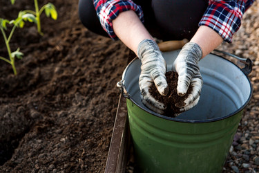 Similar image 22018776