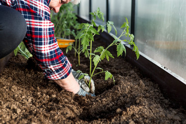 Similar image 22018778