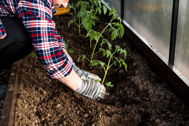 Similar image 22018780