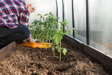 Similar image 22018782