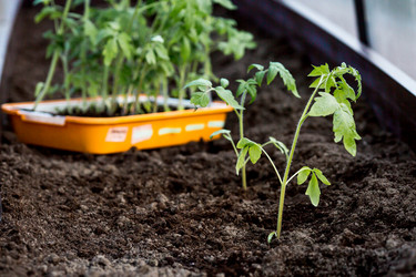 Similar image 22018786