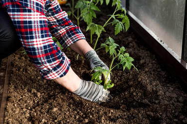 Similar image 22018794