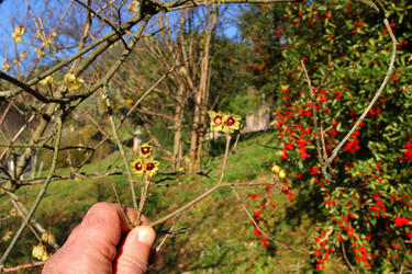 Similar image 22015927